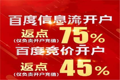 SEM精准广告投放的五大成功案例